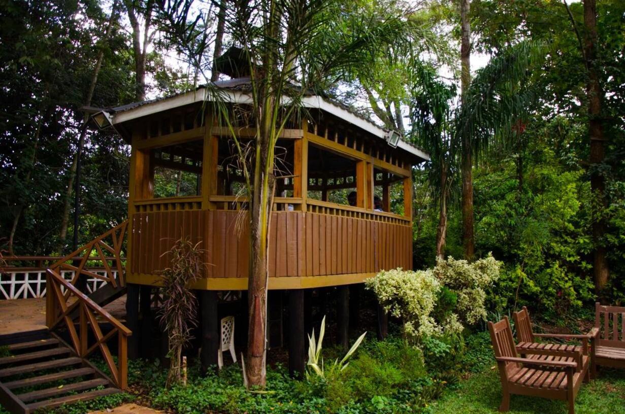 Hotel Edgewood Country Place Thika Zewnętrze zdjęcie